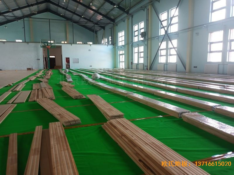 �ຣ�����г����^(q��)��·18̖(h��o)�Ї��ƌW(xu��)Ժ�\(y��n)��(d��ng)ľ�ذ���O(sh��)����