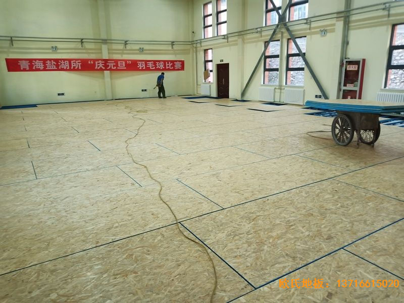 �ຣ�����г����^(q��)��·18̖(h��o)�Ї��ƌW(xu��)Ժ�\(y��n)��(d��ng)ľ�ذ���O(sh��)����