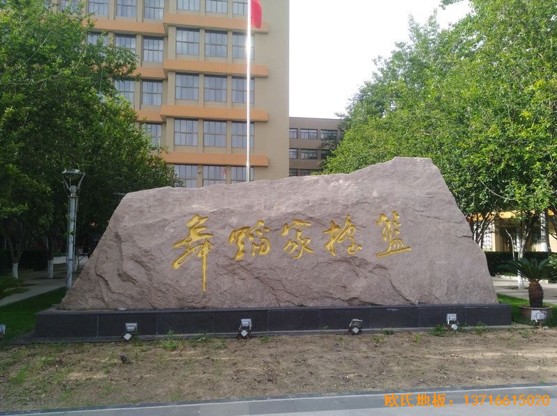 �����赸�W(xu��)Ժ�w���ذ尲�b����