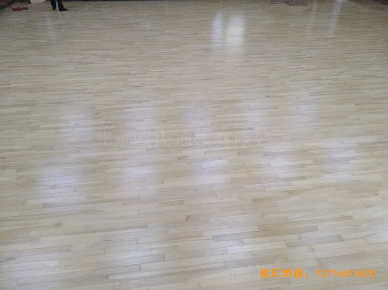 �����赸�W(xu��)Ժ�w��ľ�ذ���O(sh��)����3