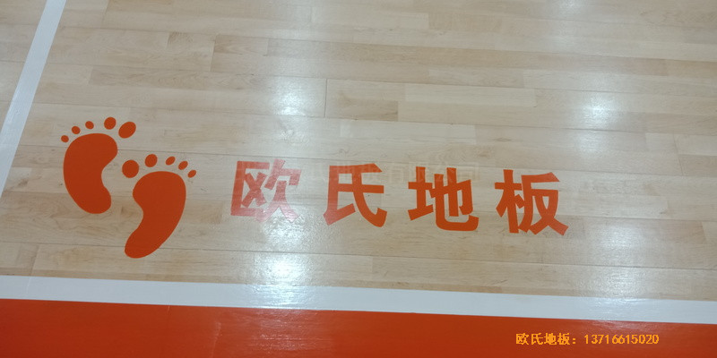 ������Ȫ���h���Ļ@���^�w���ذ���b����3