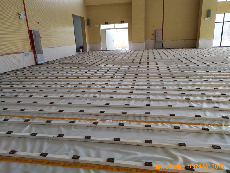 �V���S�҅^(q��)�f��ɽС�W(xu��)�@���^�w���ذ尲�b����1