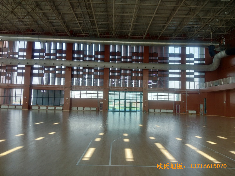 �ӱ����̴�W(xu��)��У�^(q��)�@���^�w��ľ�ذ尲�b����4