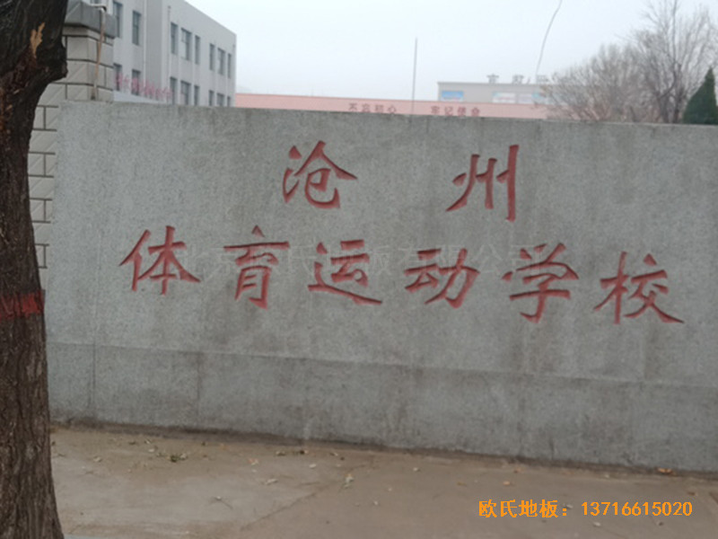 �ӱ������w���W(xu��)���@���^�w��ľ�ذ���O(sh��)����0