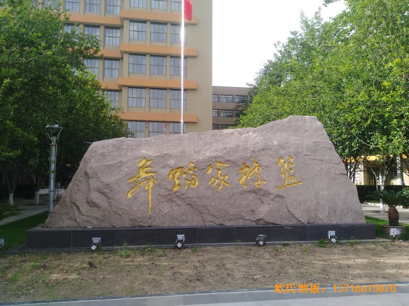 �����赸�WԺ�w��ľ�ذ���O����