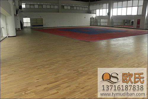 �w���\�ӌ�ľ�ذ�,�w����ľ�ذ����w���\�ӵذ�