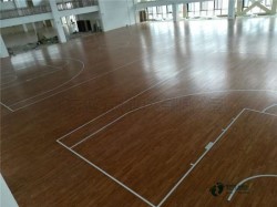 ���Ռ������_�w������ľ�ذ��Ă�Ʒ�ƺ�