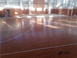 ���Ռ������_�w��ľ�ذ�ʲô���Ӻ�