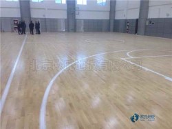 ���Ռ������_�w���\(y��n)��ľ�ذ��Ă����Ӻ�